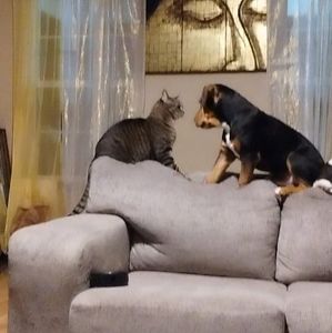 Meet your Posher, Calvin